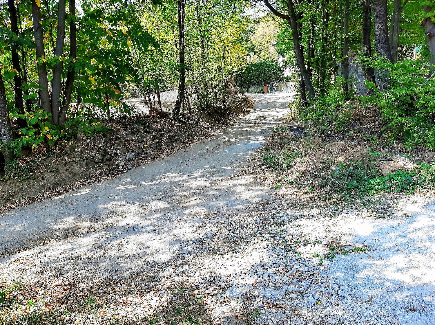 outside, green area
