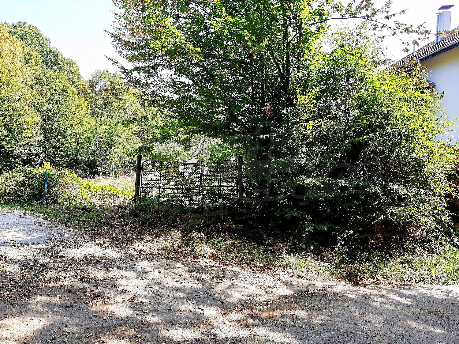 outside, green area
