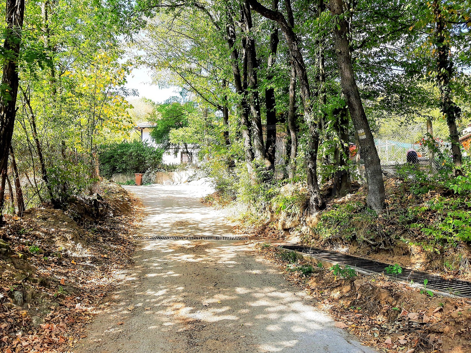 outside, green area
