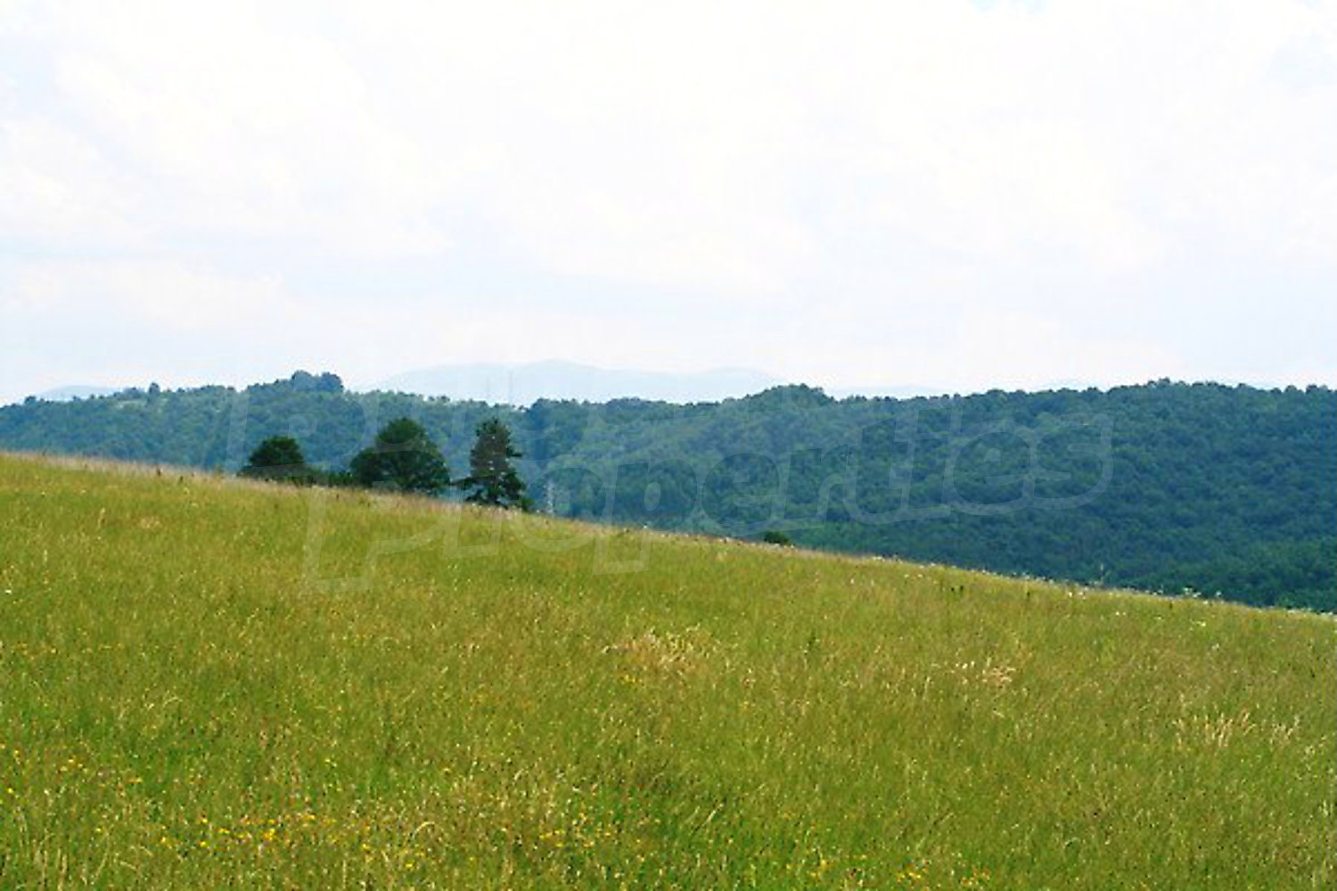 outside, mountain, green area