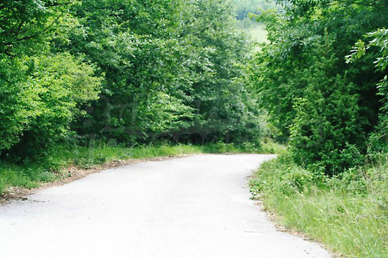 outside, green area