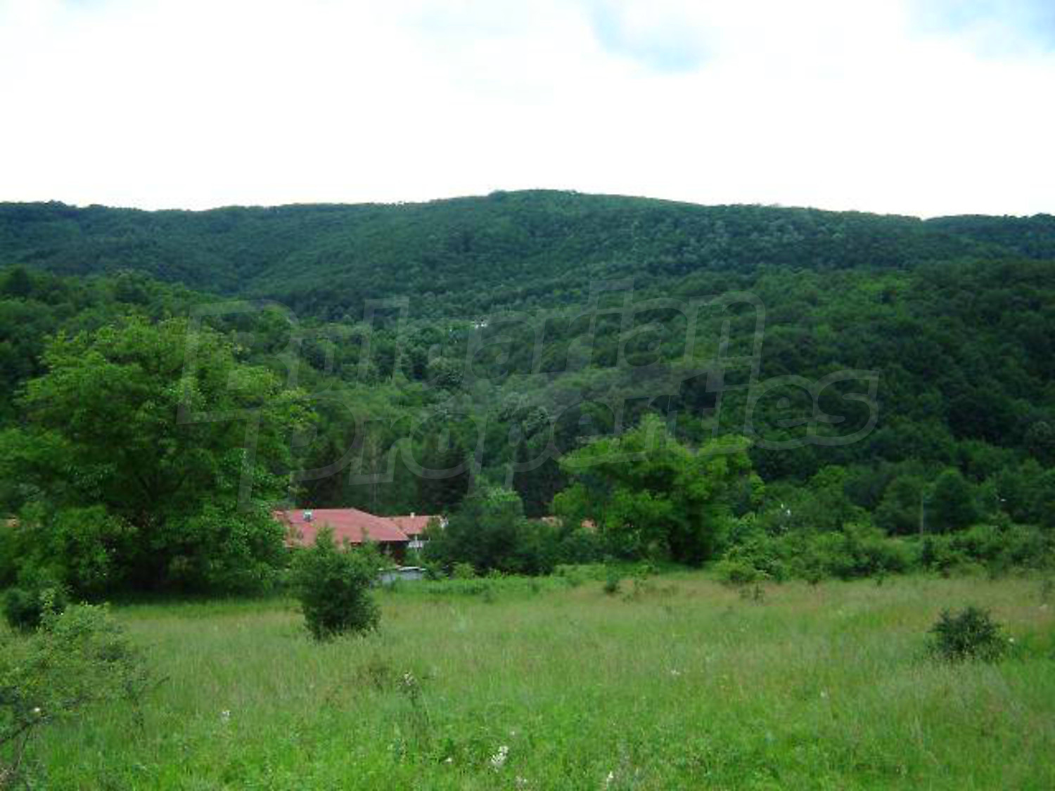 outside, mountain, green area