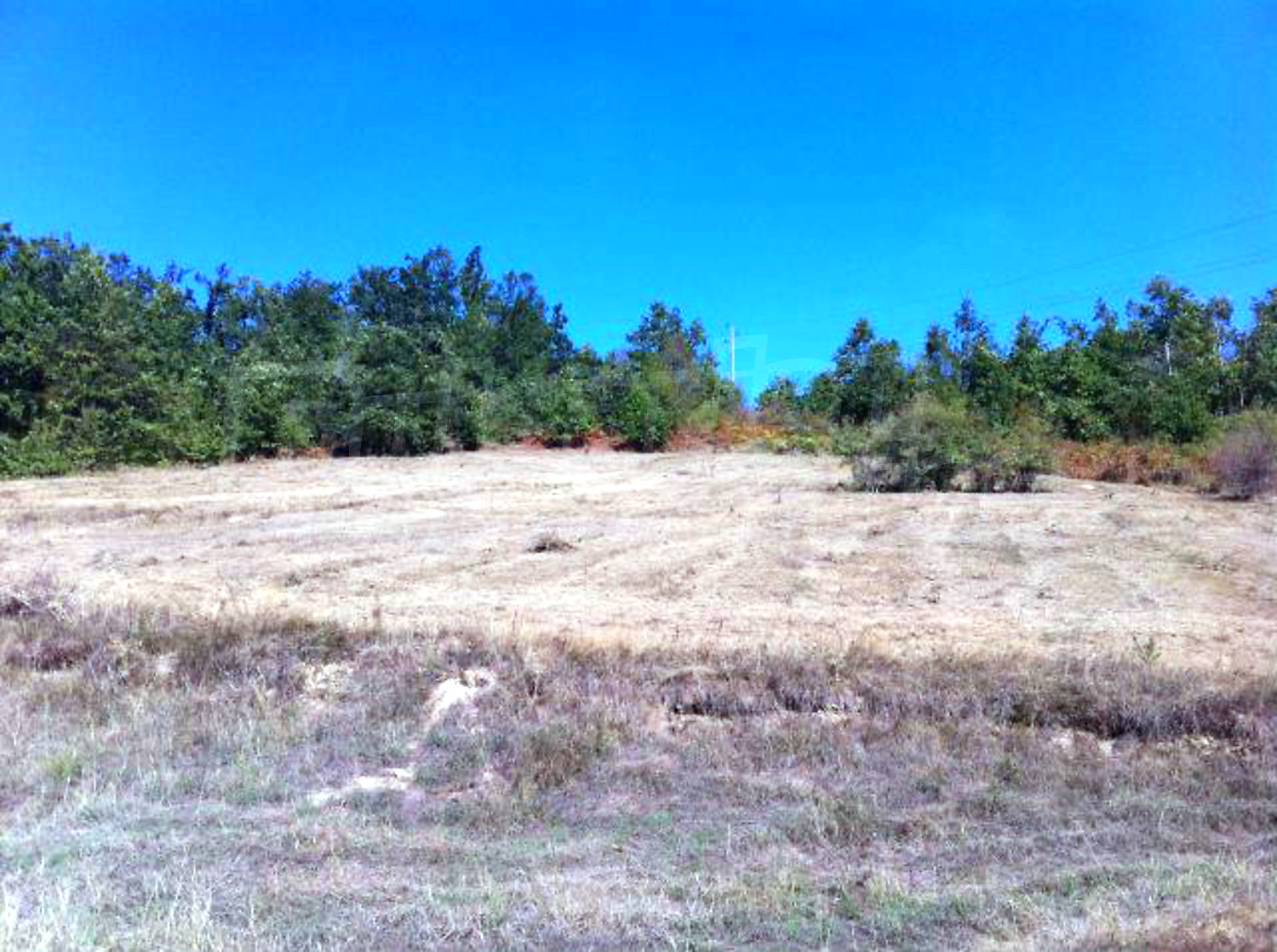 outside, green area