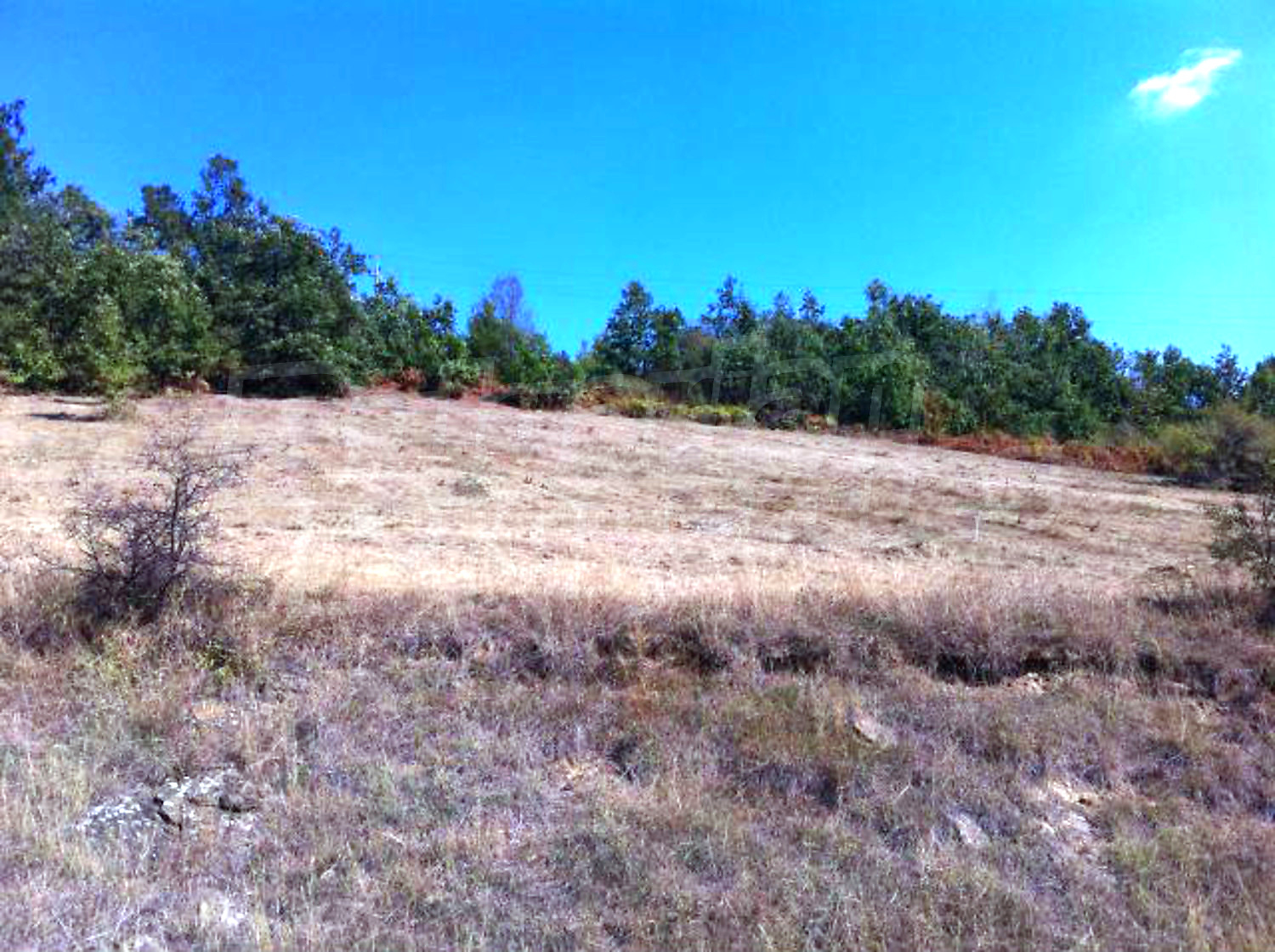 outside, green area
