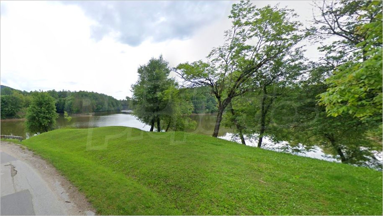 outside, green area