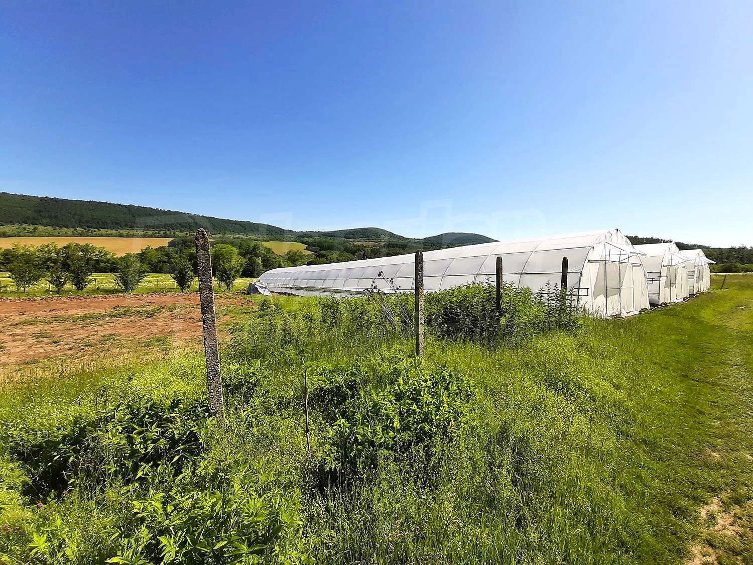 outside, mountain, green area