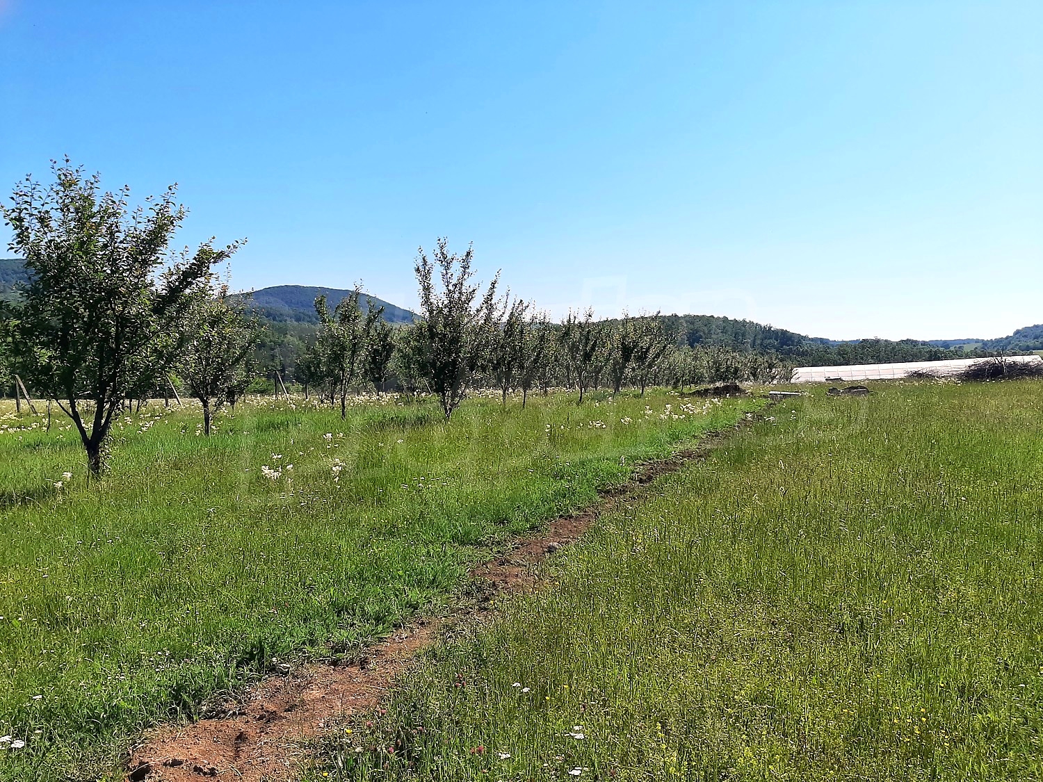 outside, green area, mountain