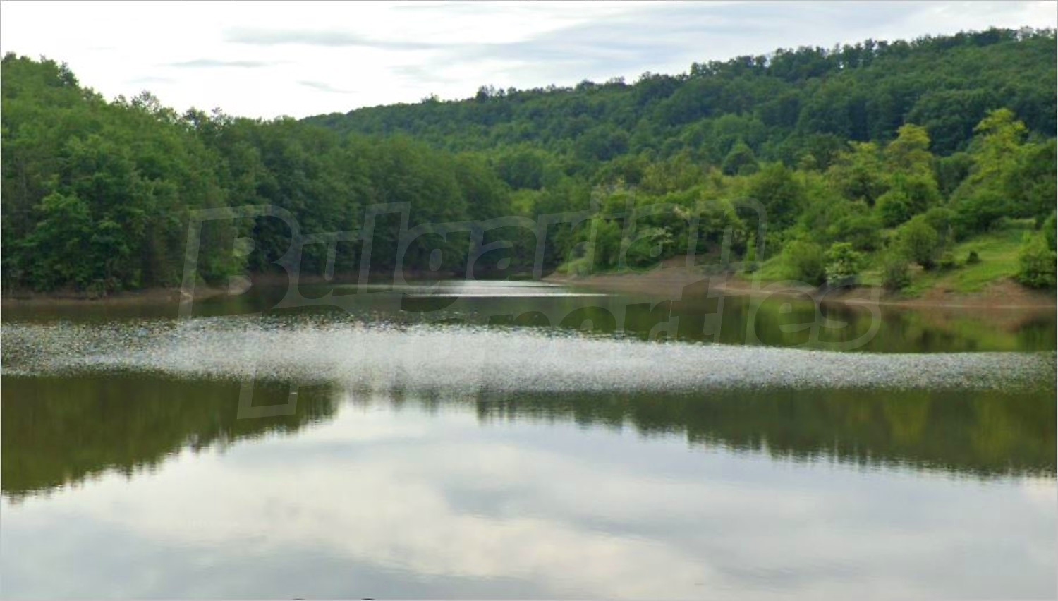 outside, green area