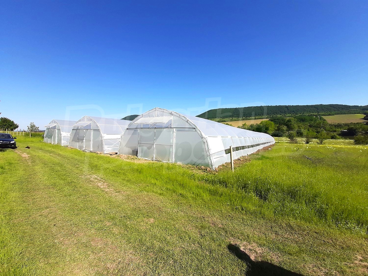 outside, green area
