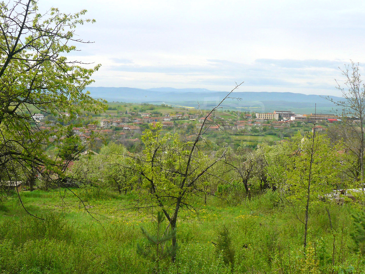 outside, green area, mountain
