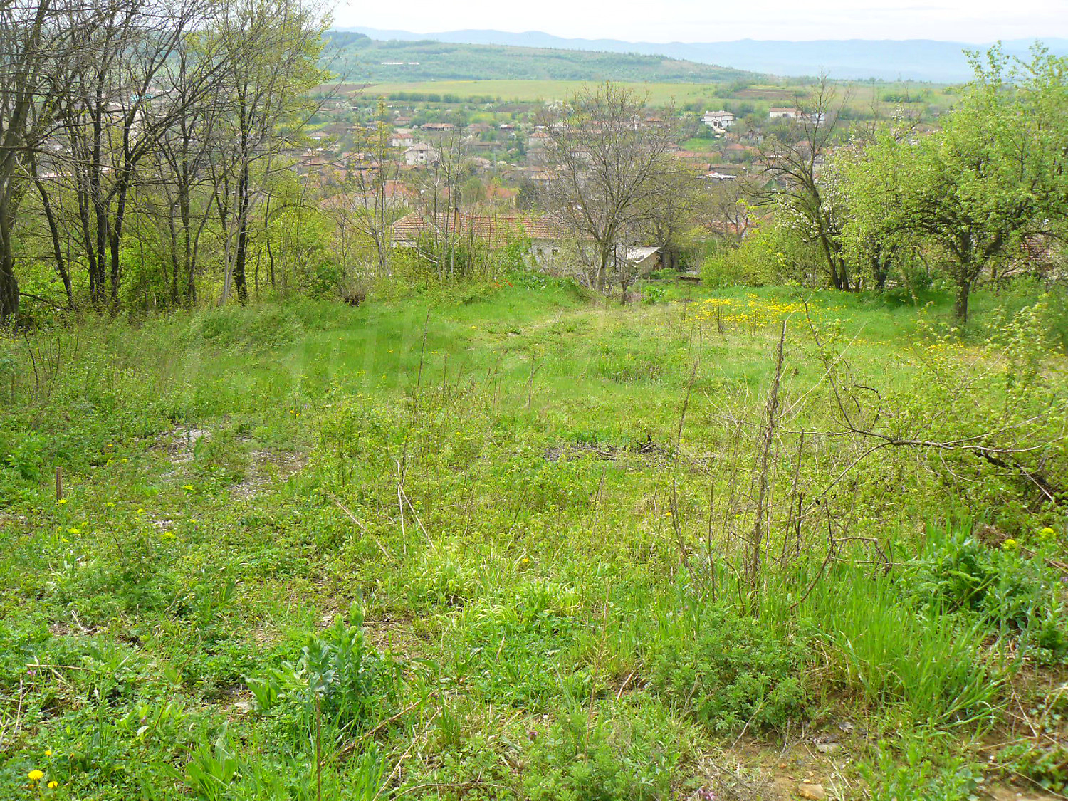 outside, green area
