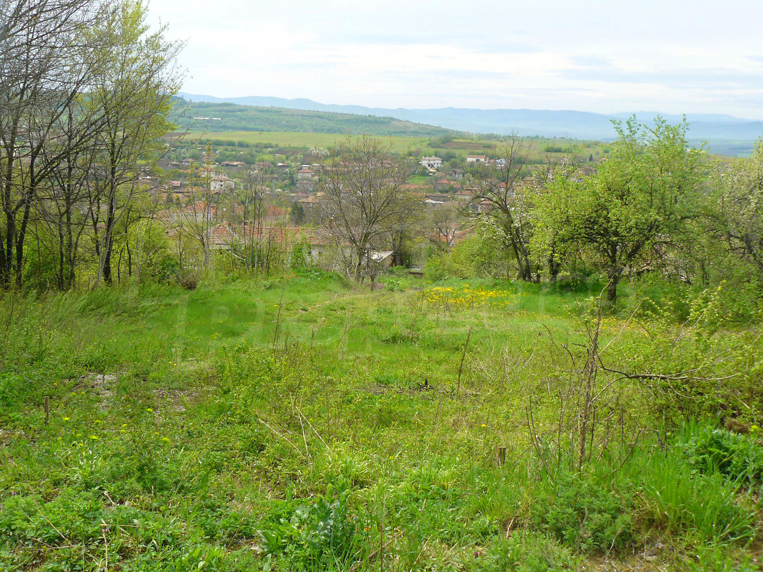 outside, green area, mountain