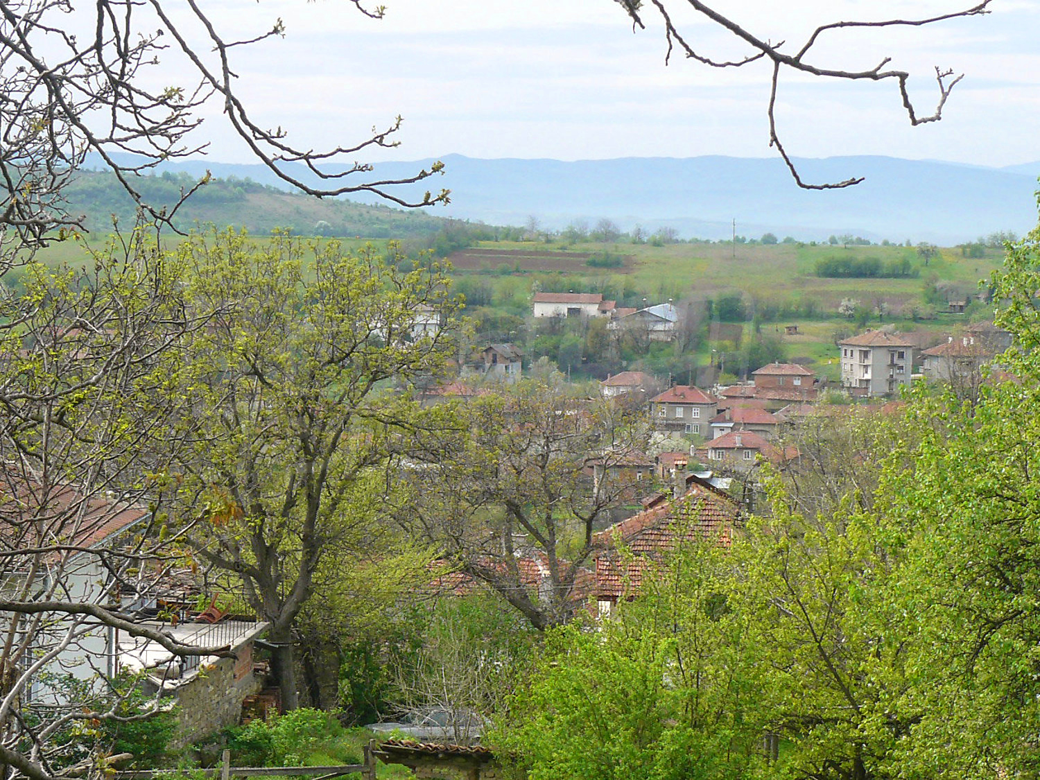 outside, green area, mountain