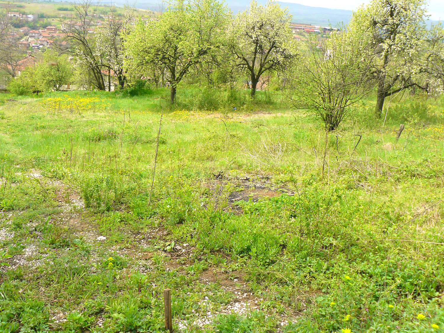green area, outside