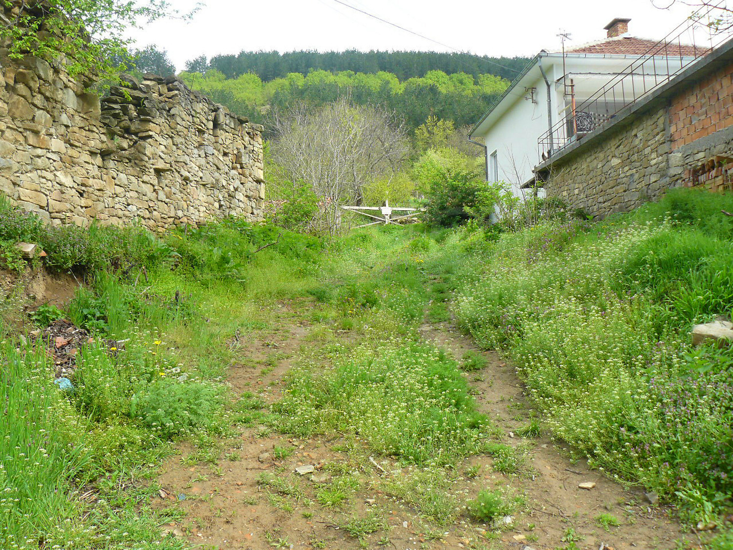 outside, green area, facade, garden