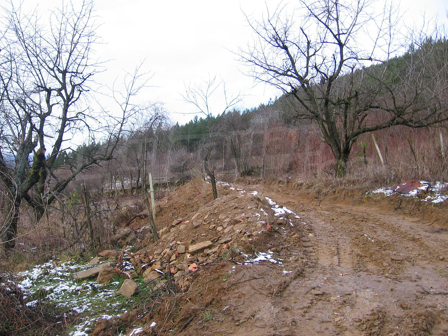outside, green area