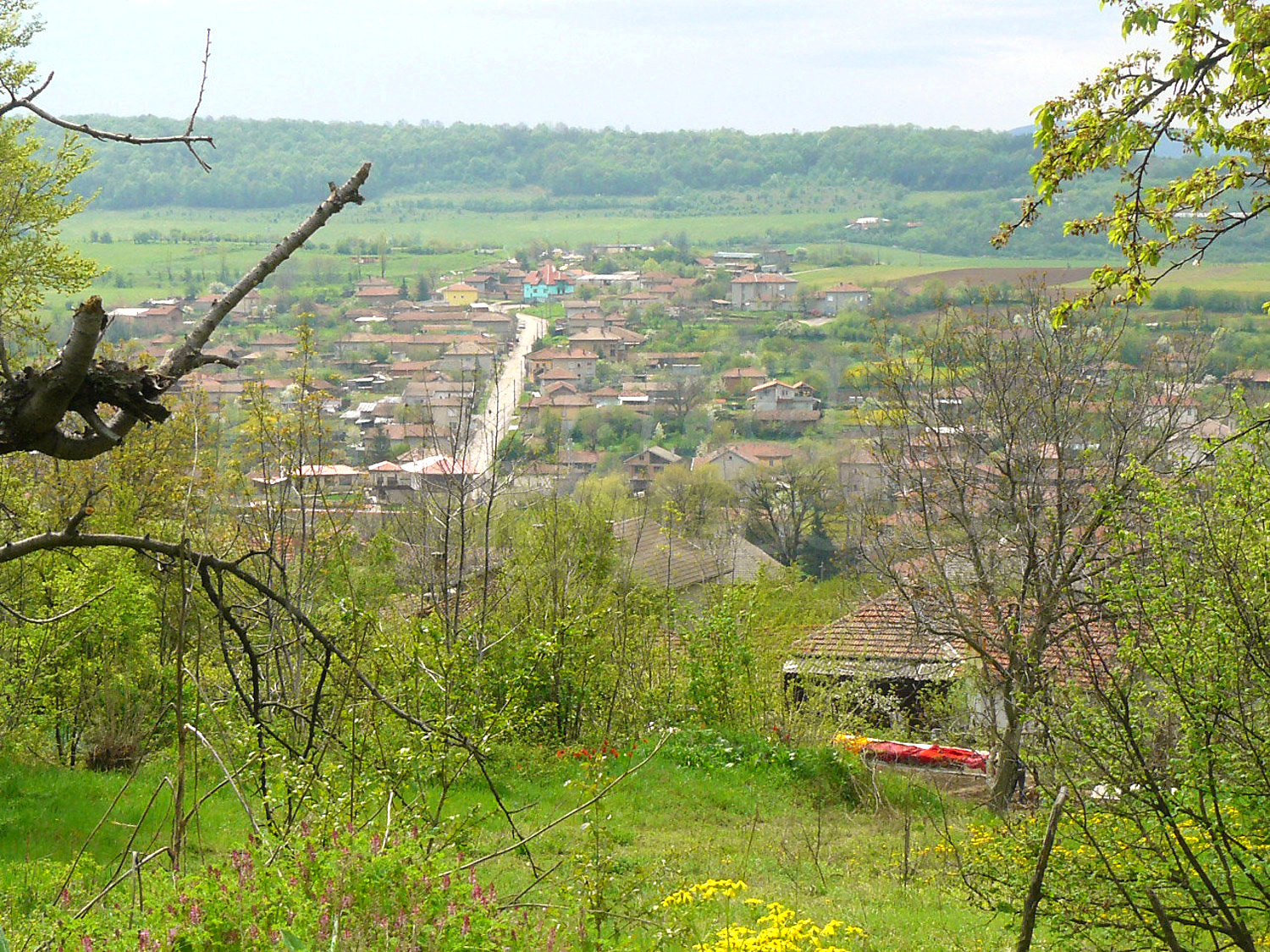 outside, green area