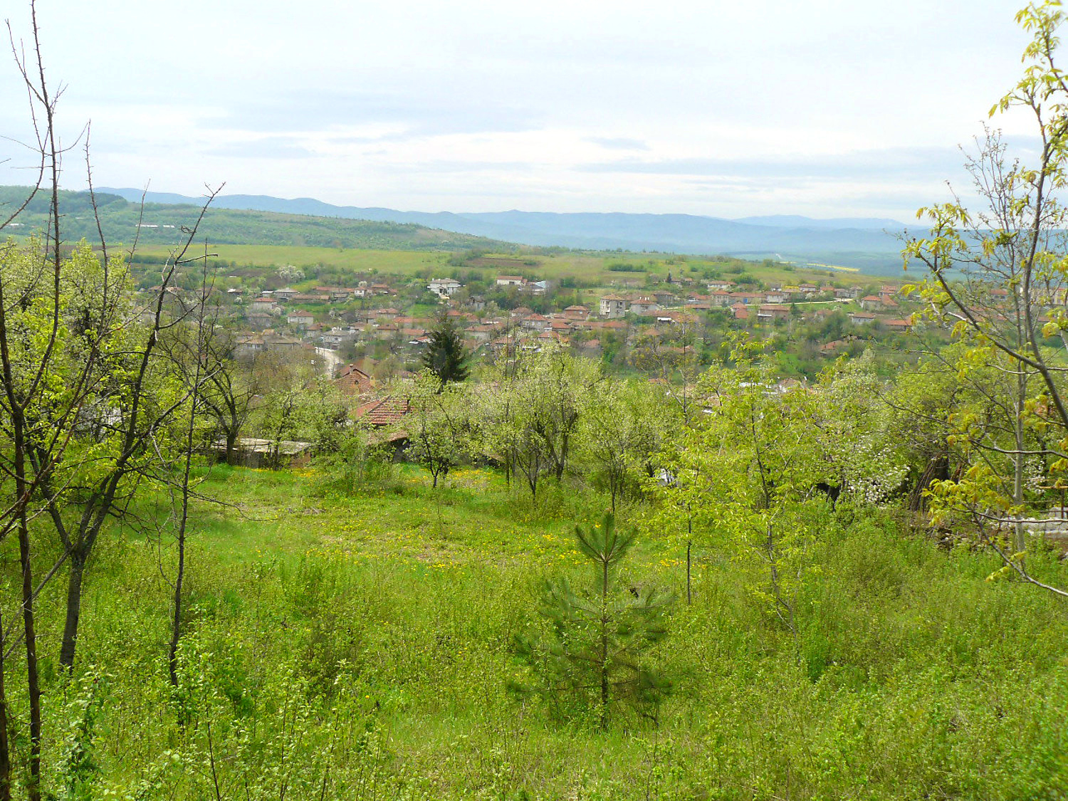 outside, green area, mountain