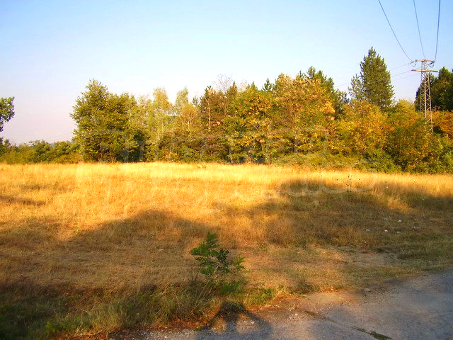 outside, green area