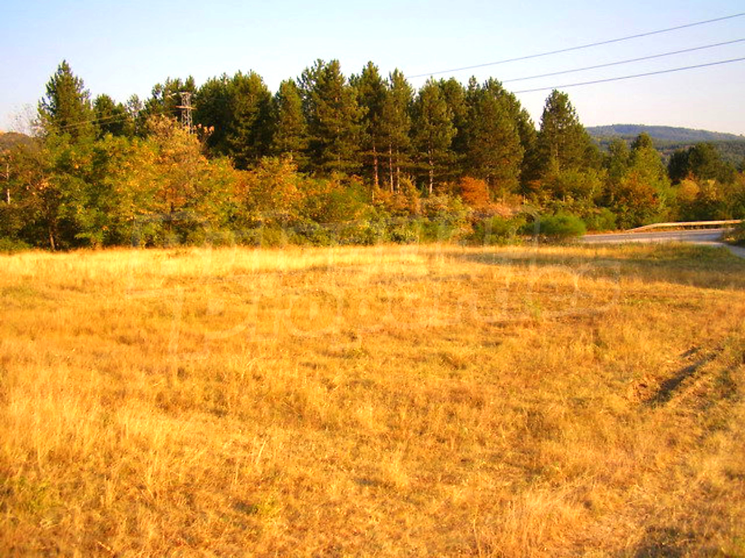 outside, green area