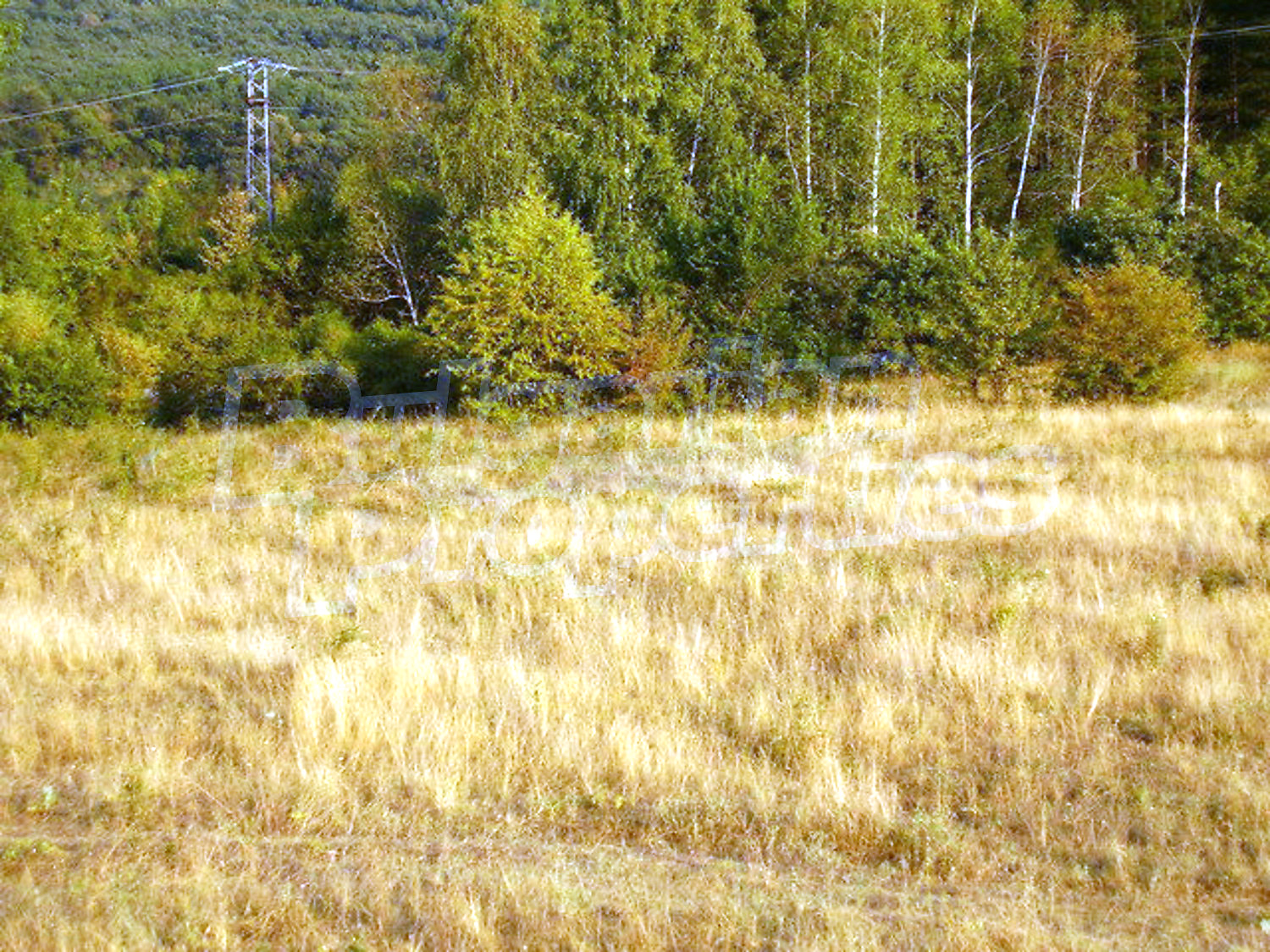 outside, green area