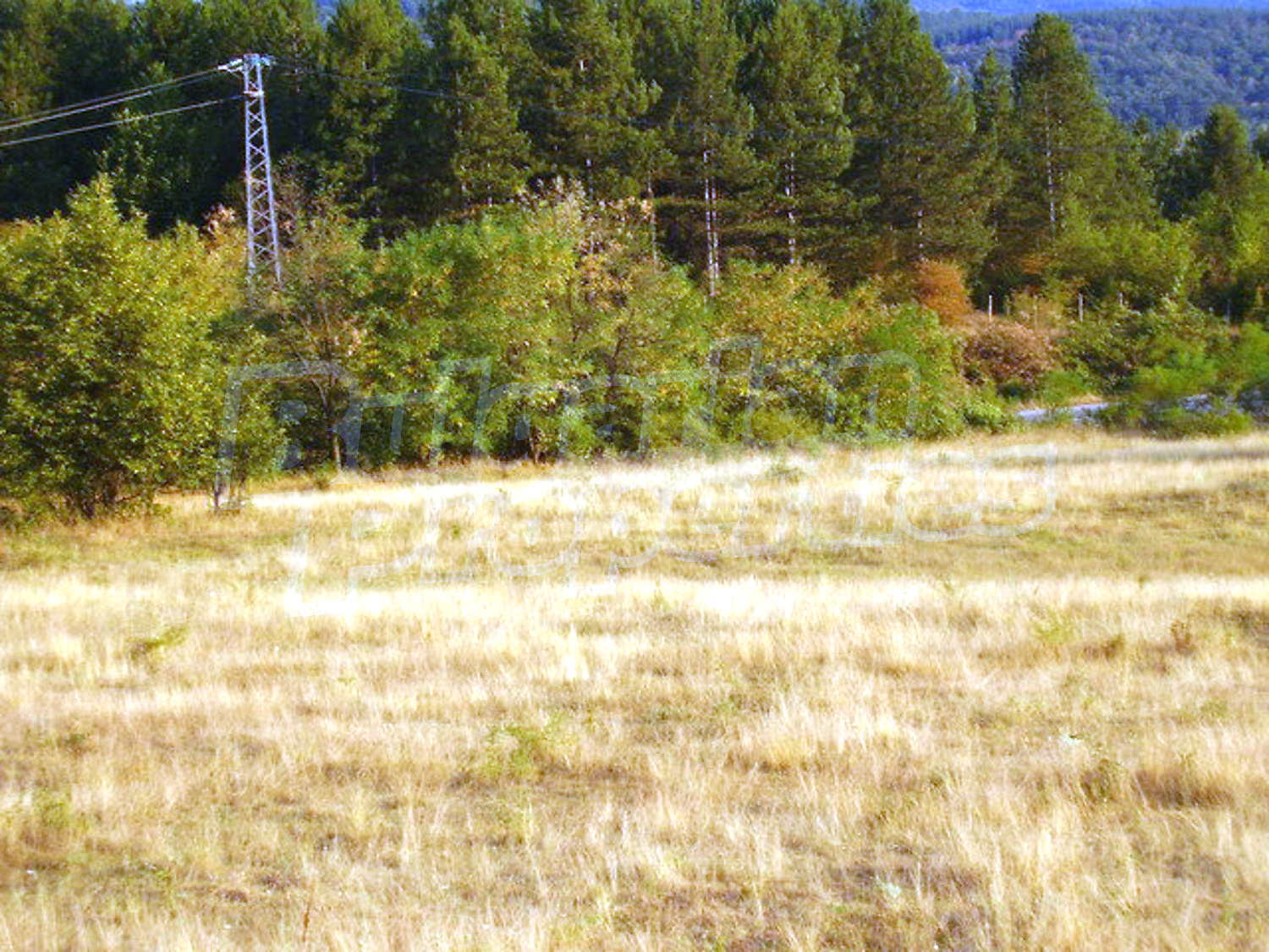 outside, green area