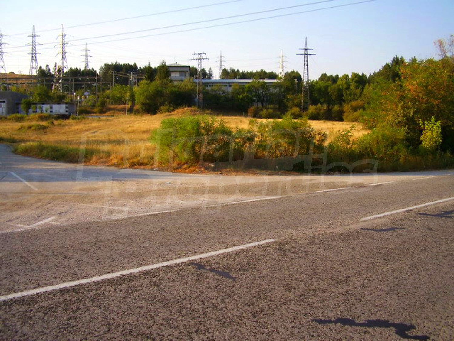 outside, green area