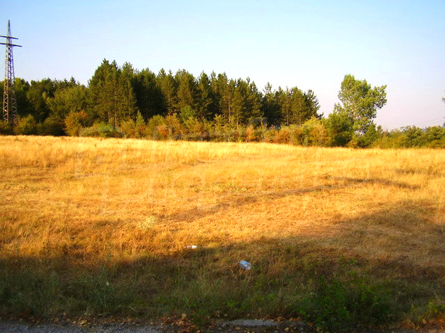 outside, green area