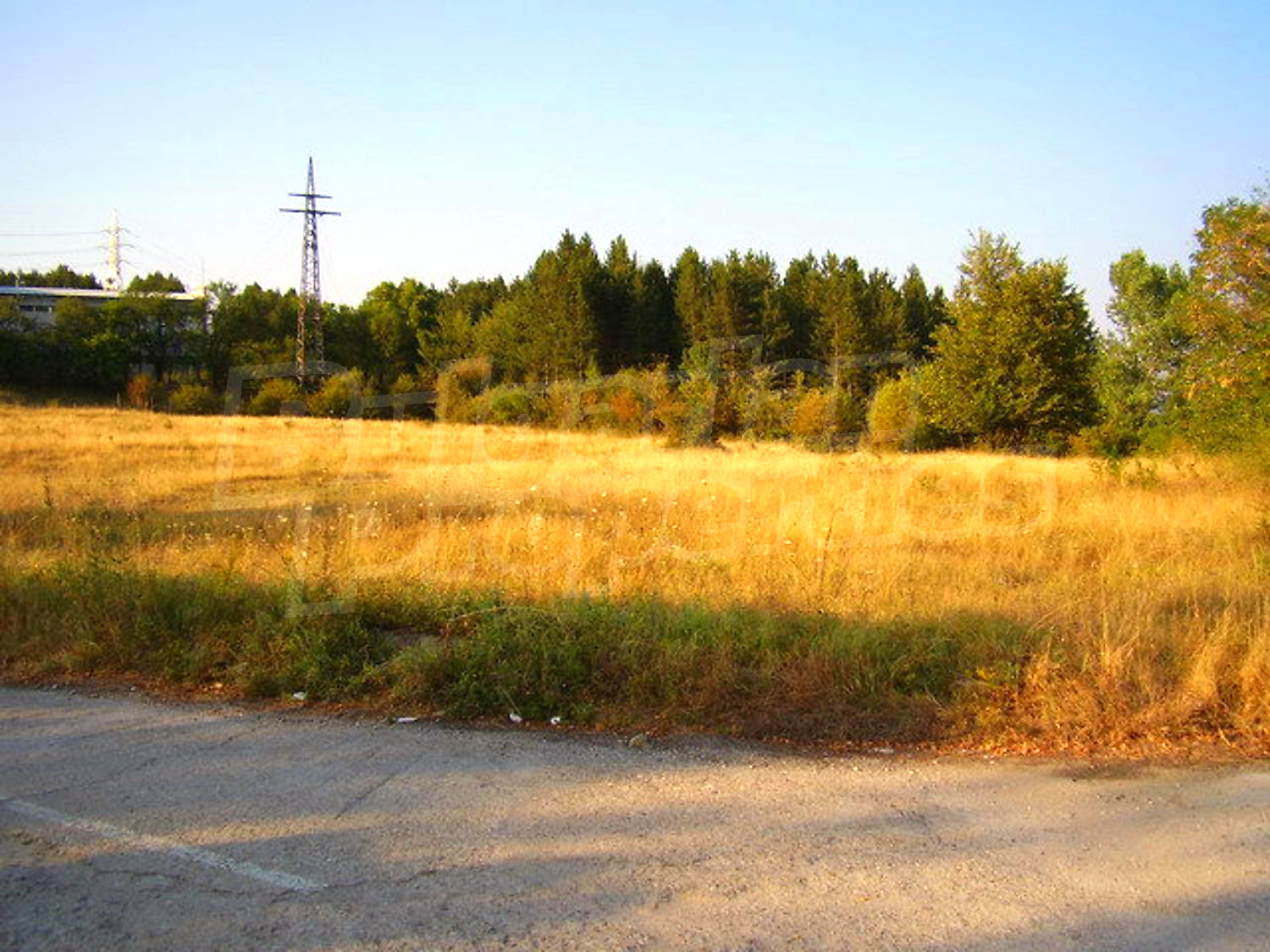 outside, green area