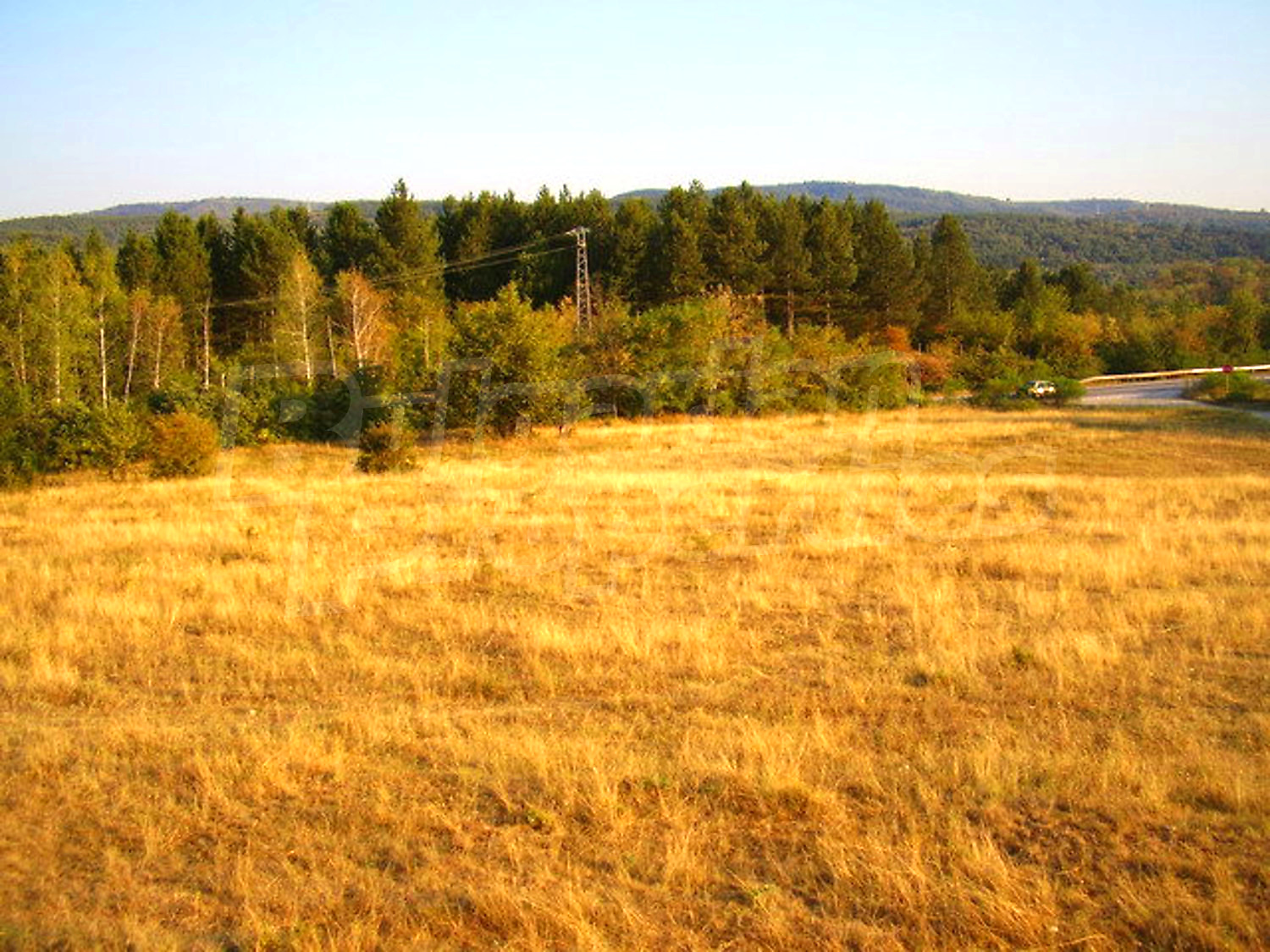 outside, green area, mountain