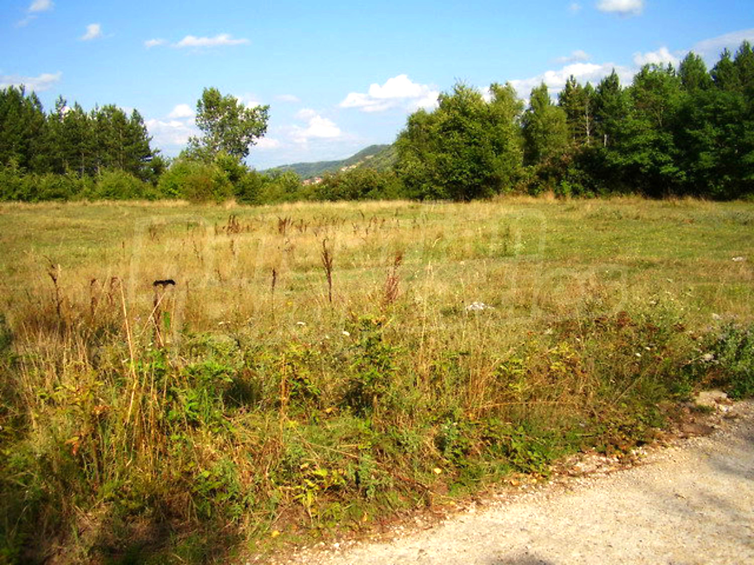 outside, green area