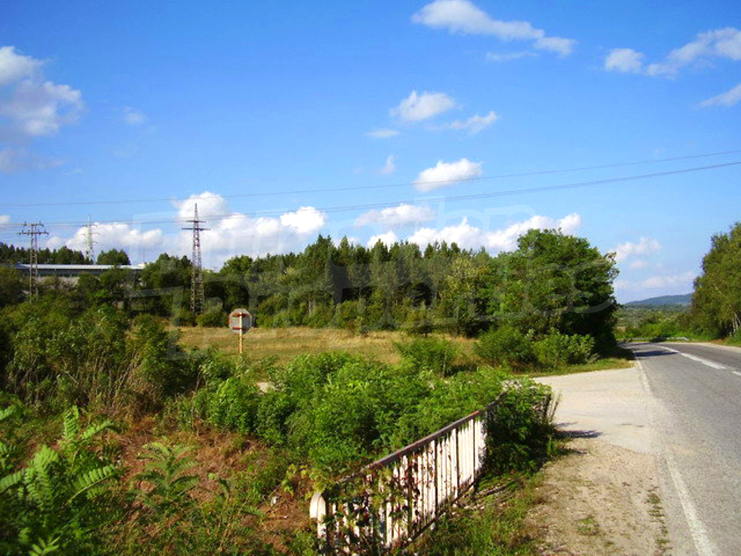 outside, green area