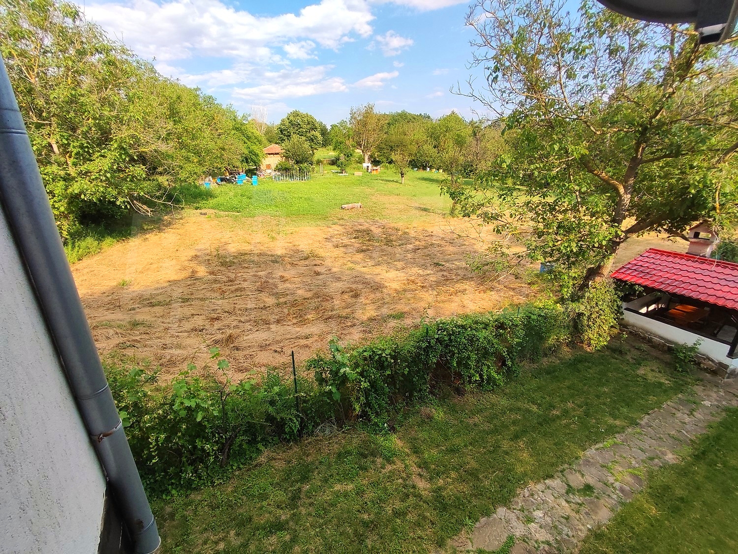 outside, garden, green area