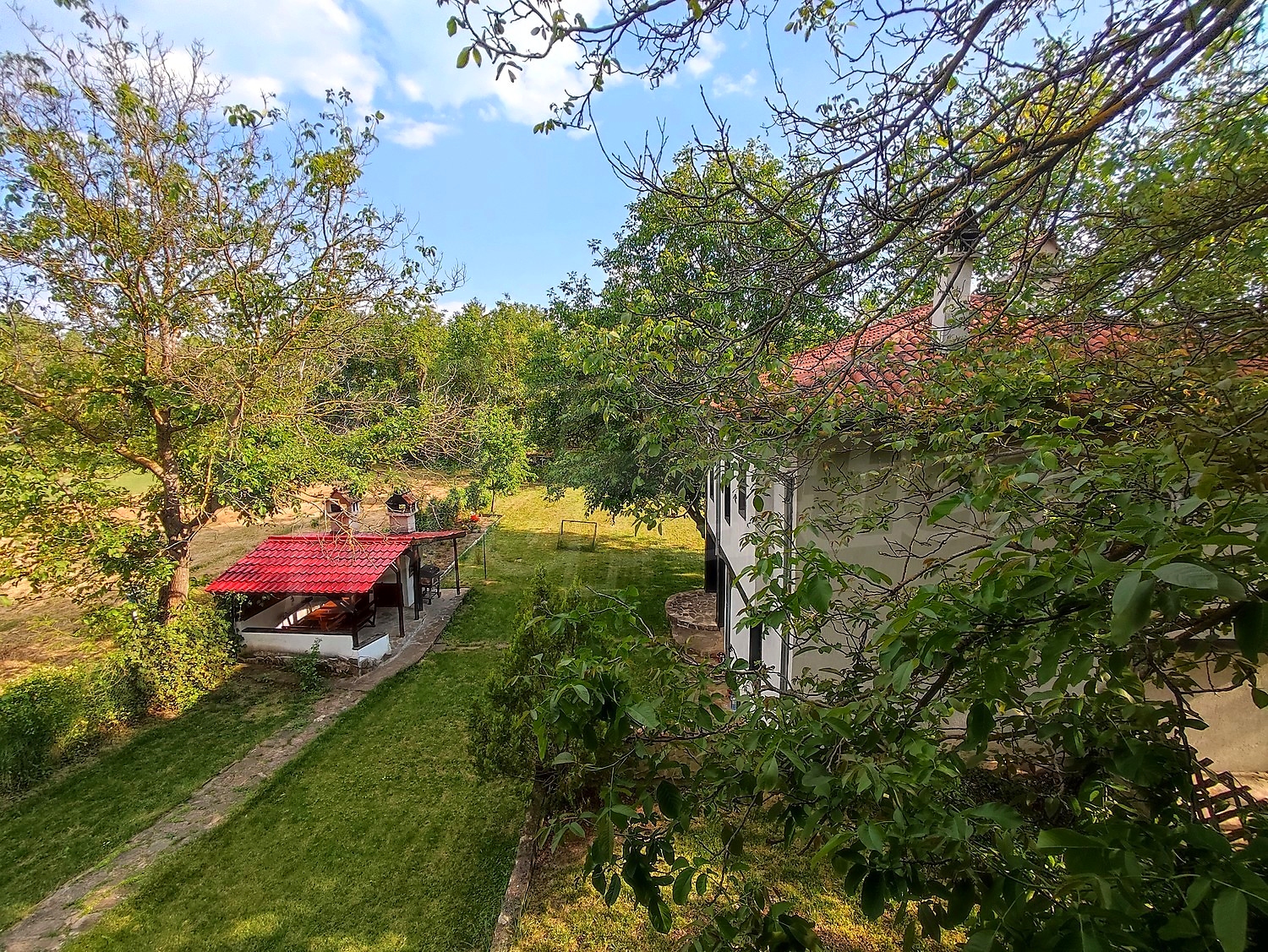 outside, garden