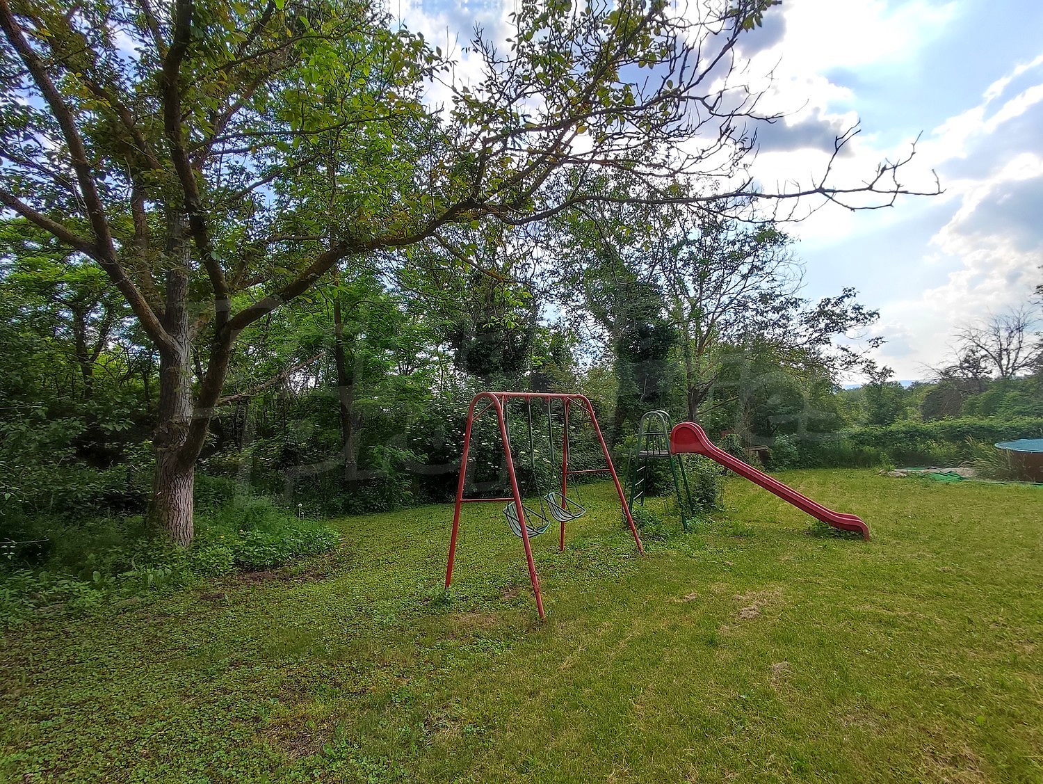 outside, garden, green area