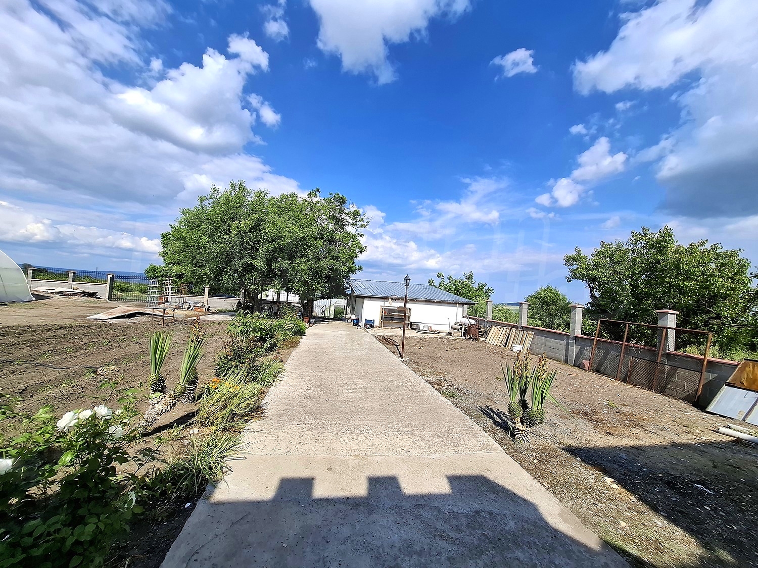 outside, garden