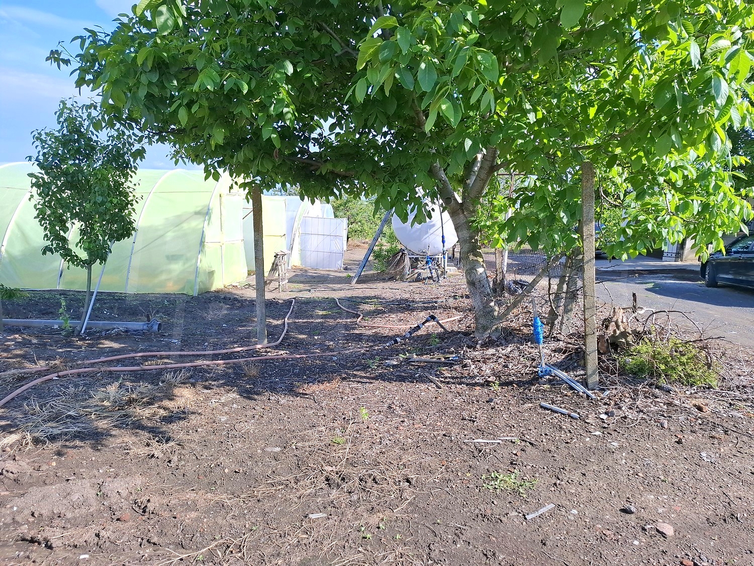 outside, garden, green area