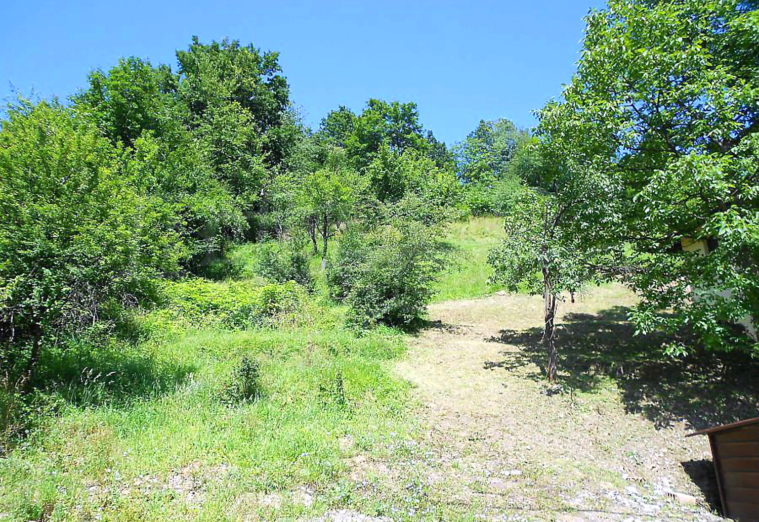outside, green area