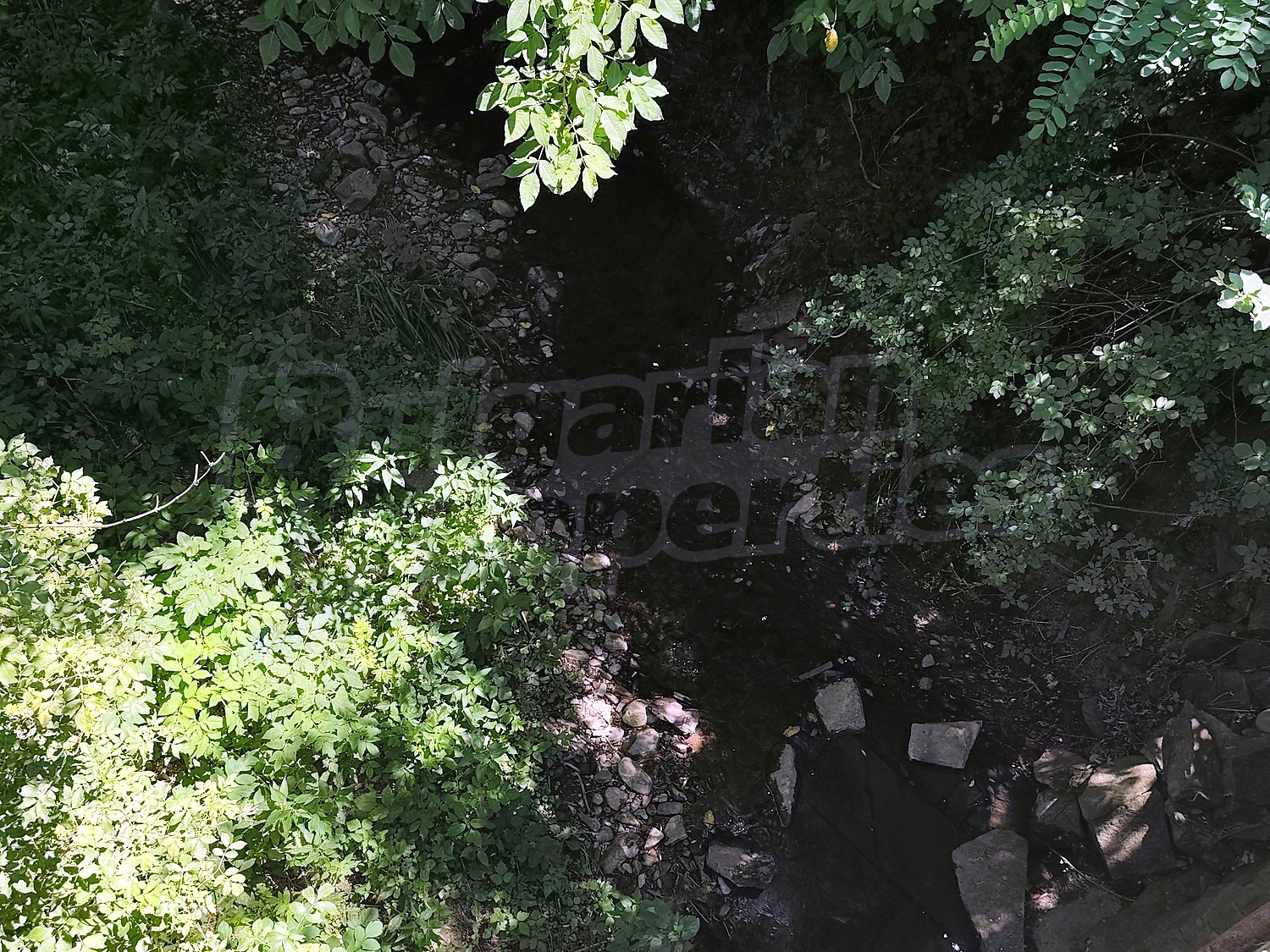 green area, outside