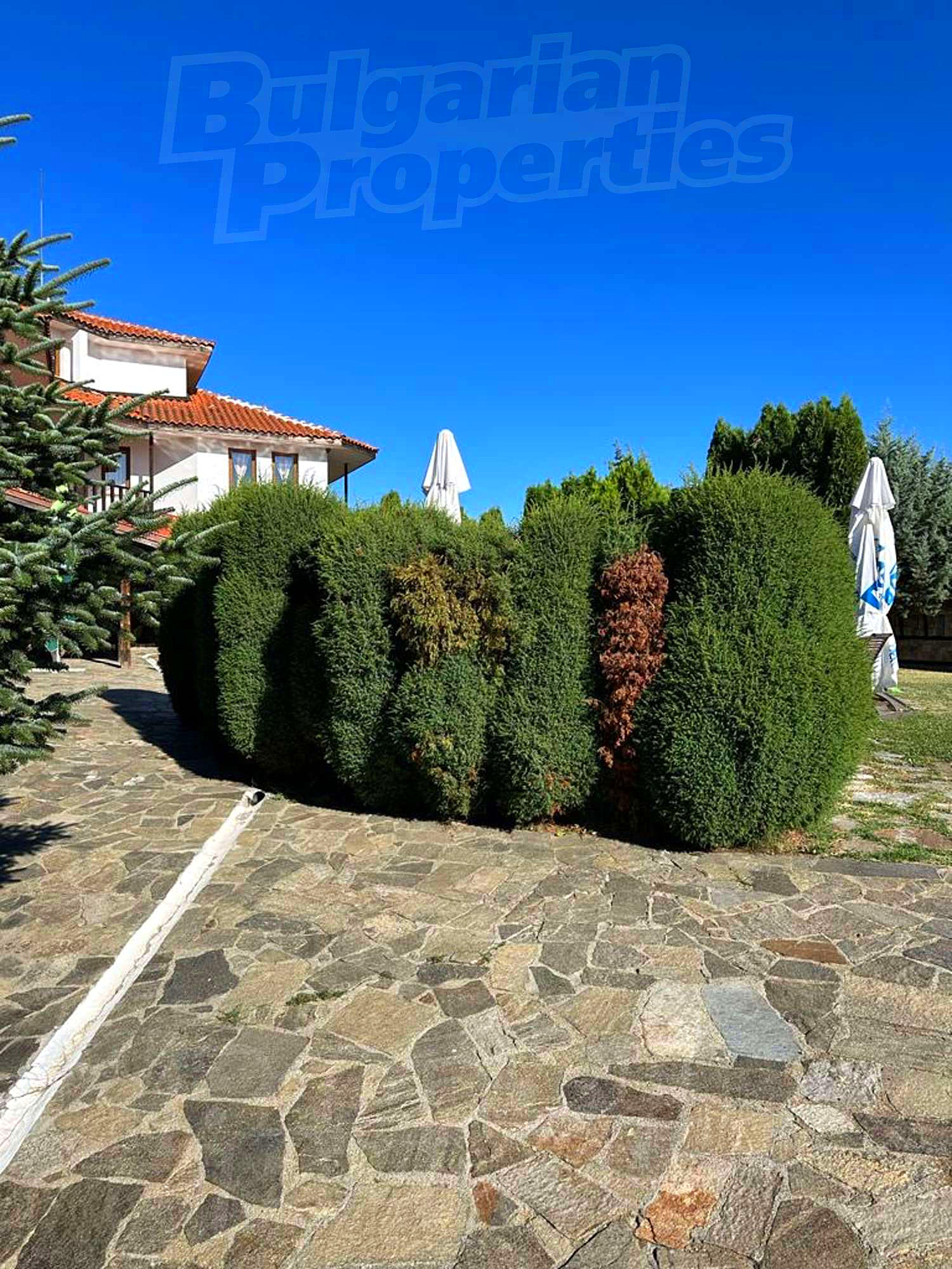 outside, garden