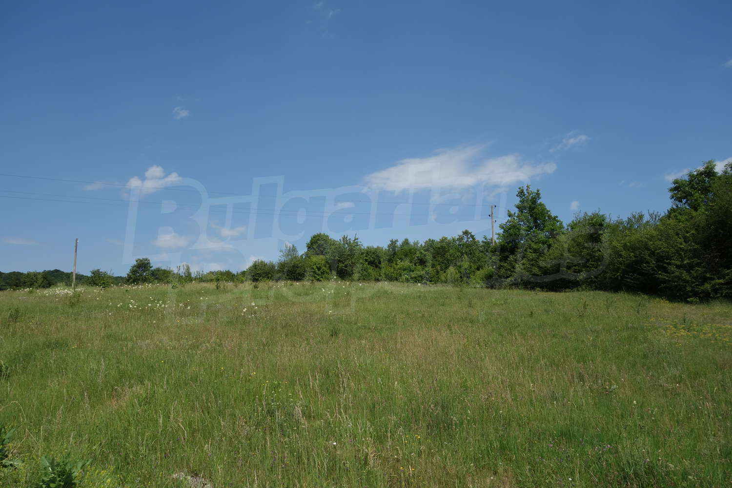 outside, green area