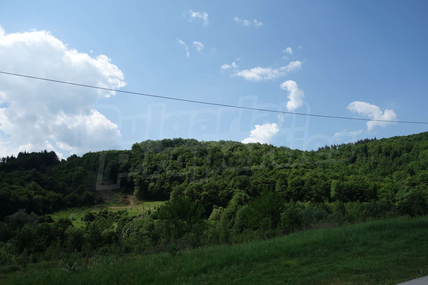 outside, green area