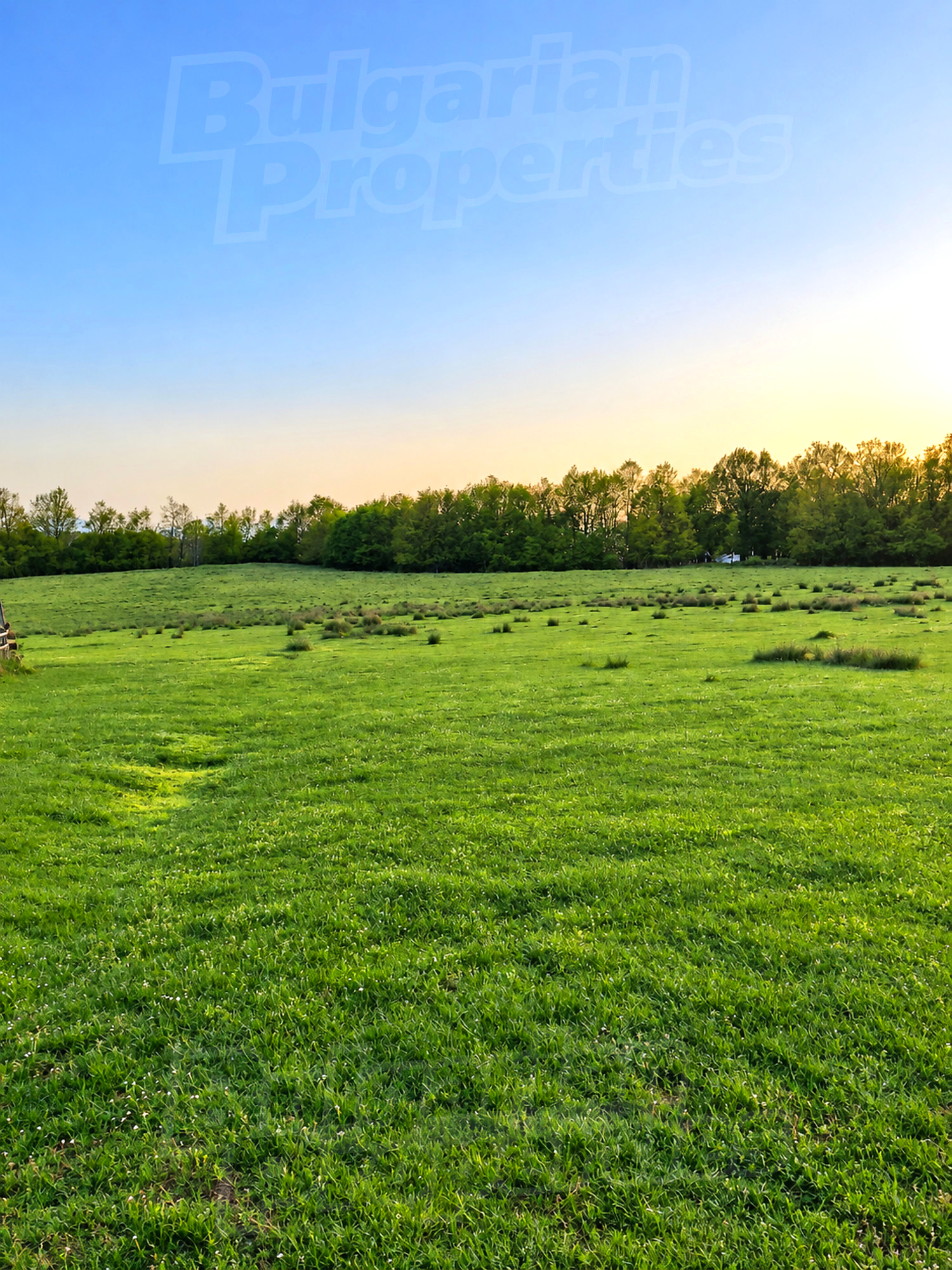outside, green area