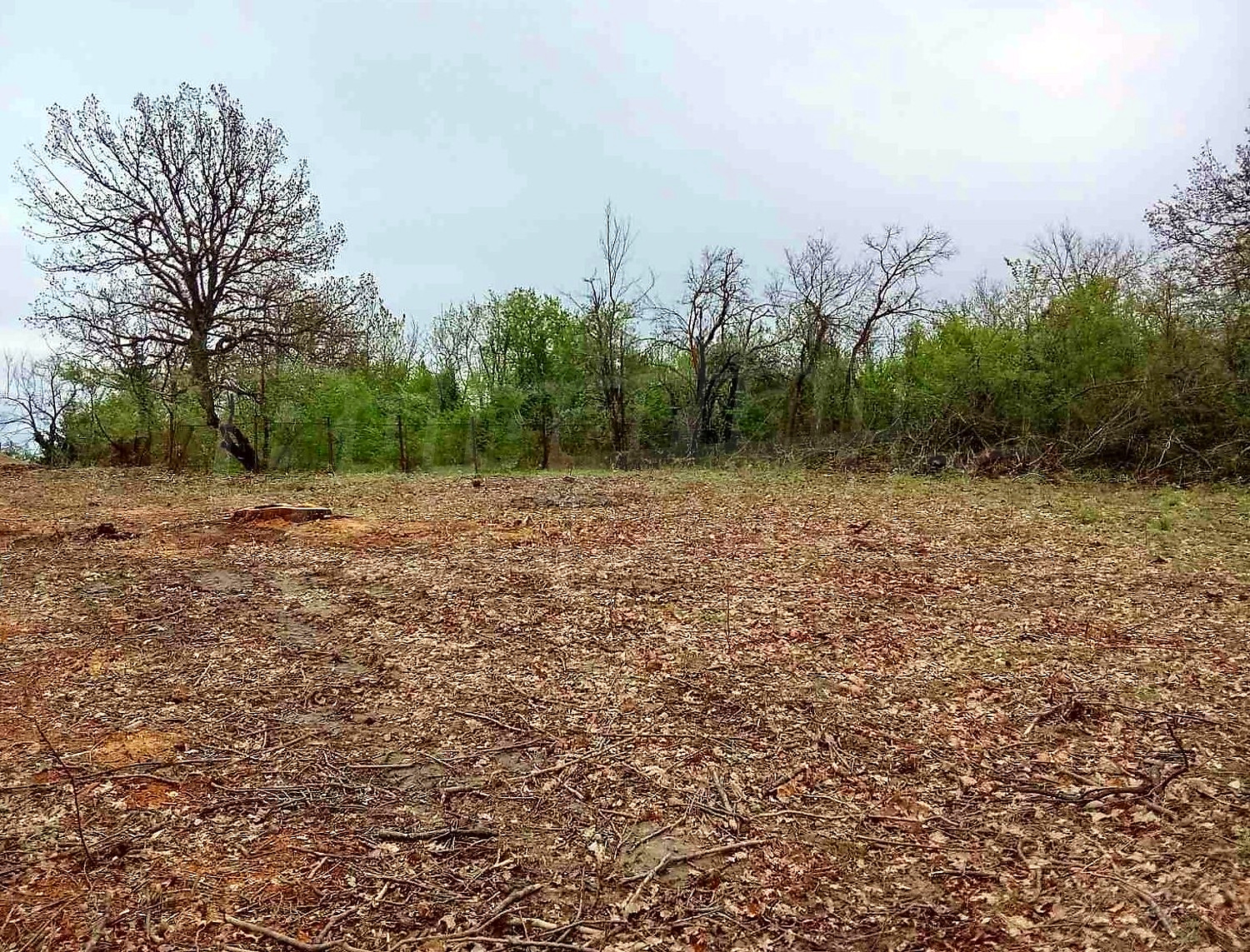 outside, green area