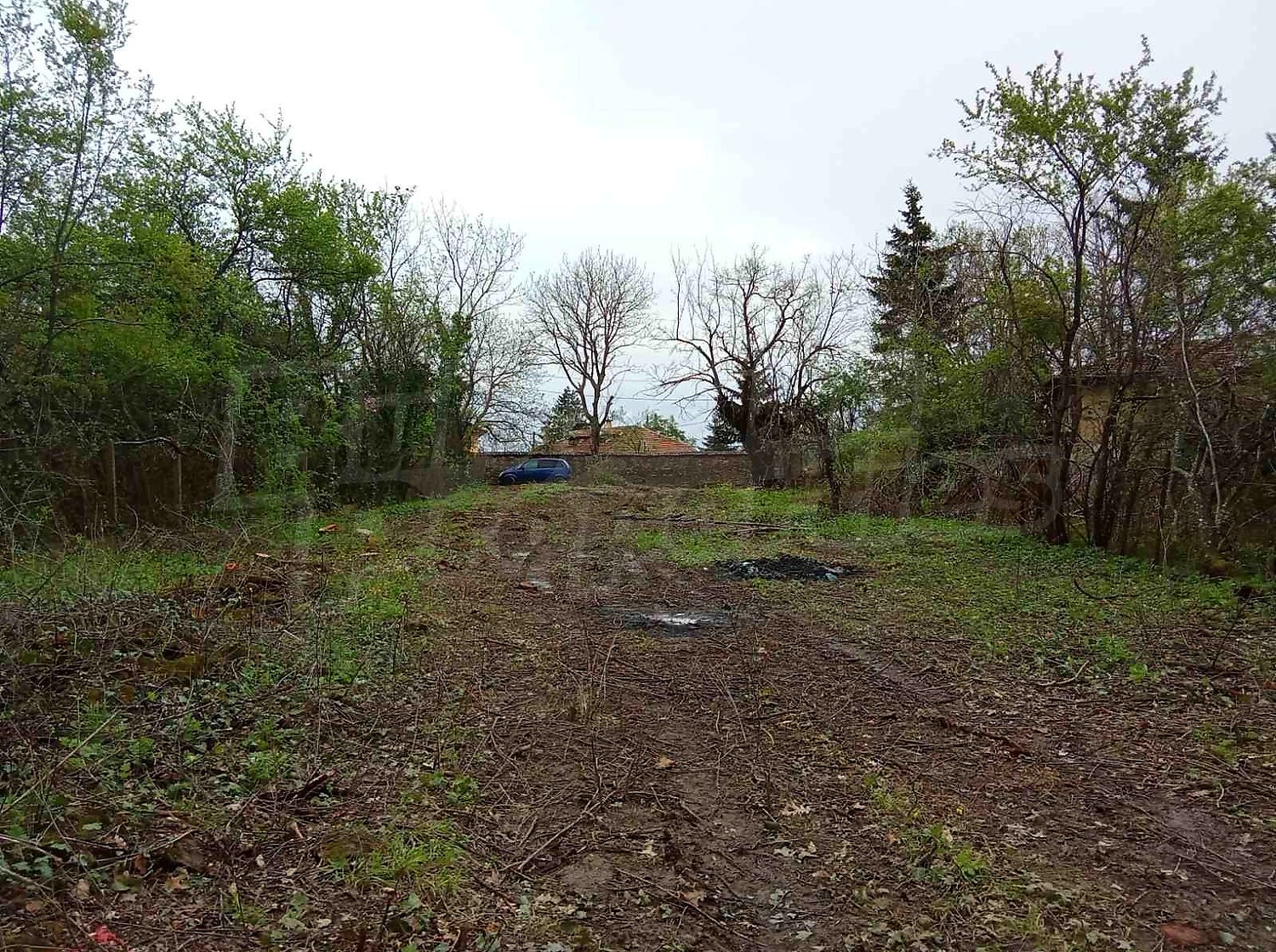 outside, garden, green area