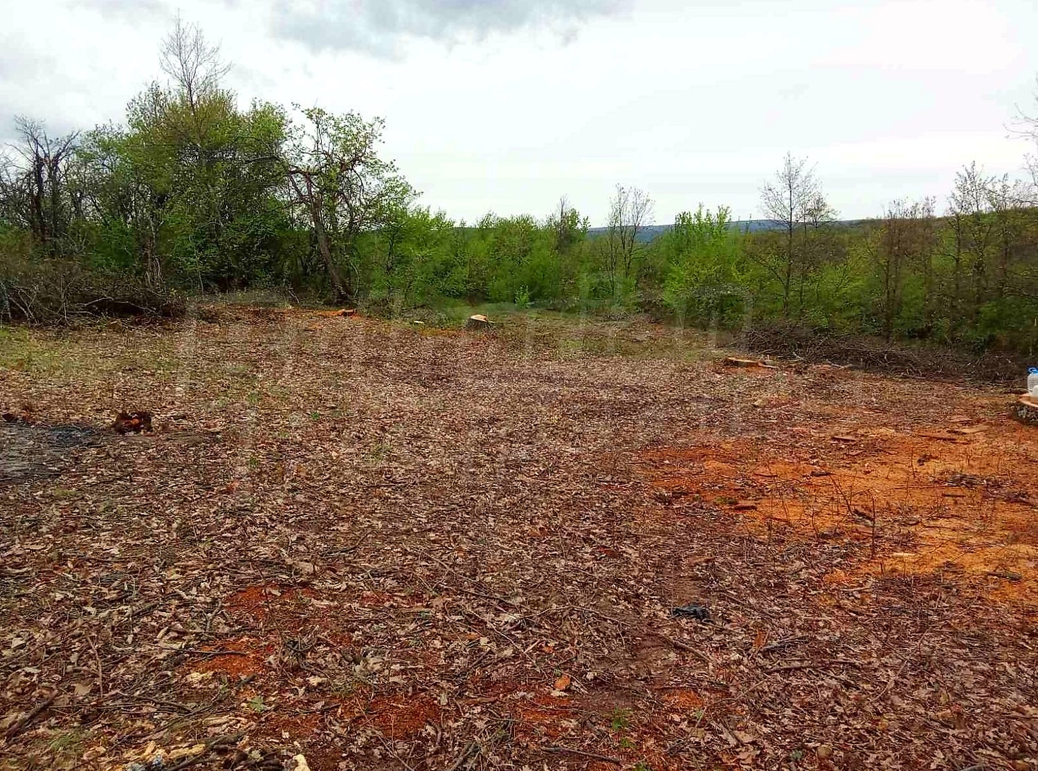 outside, green area