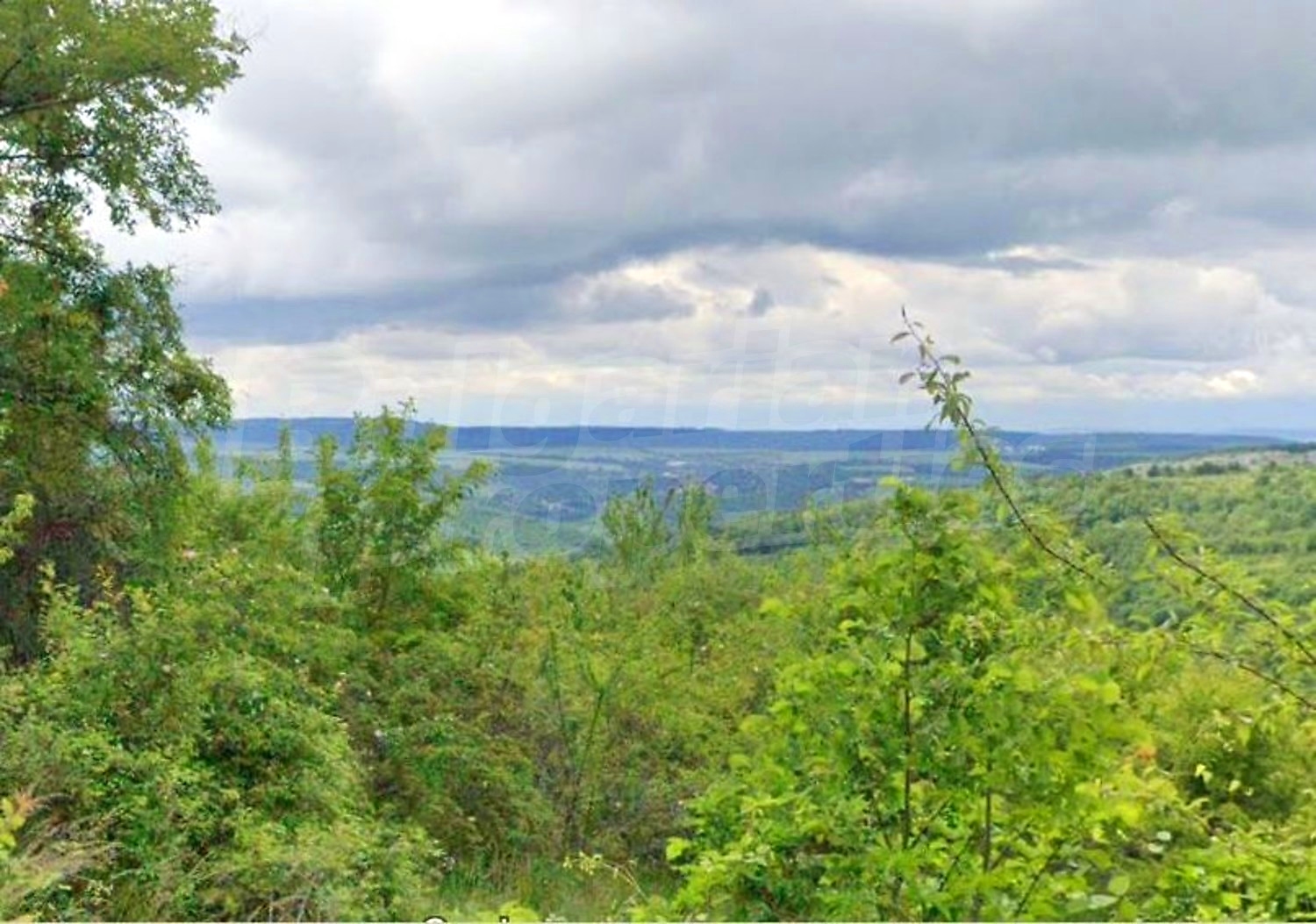 outside, mountain, green area