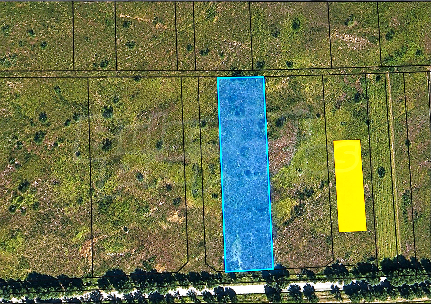 outside, green area
