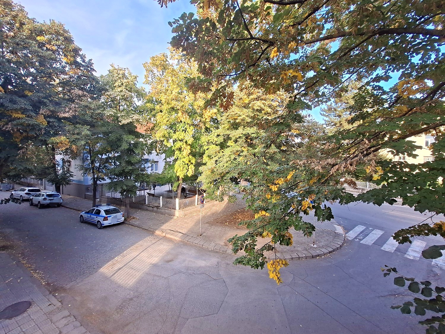 outside, green area