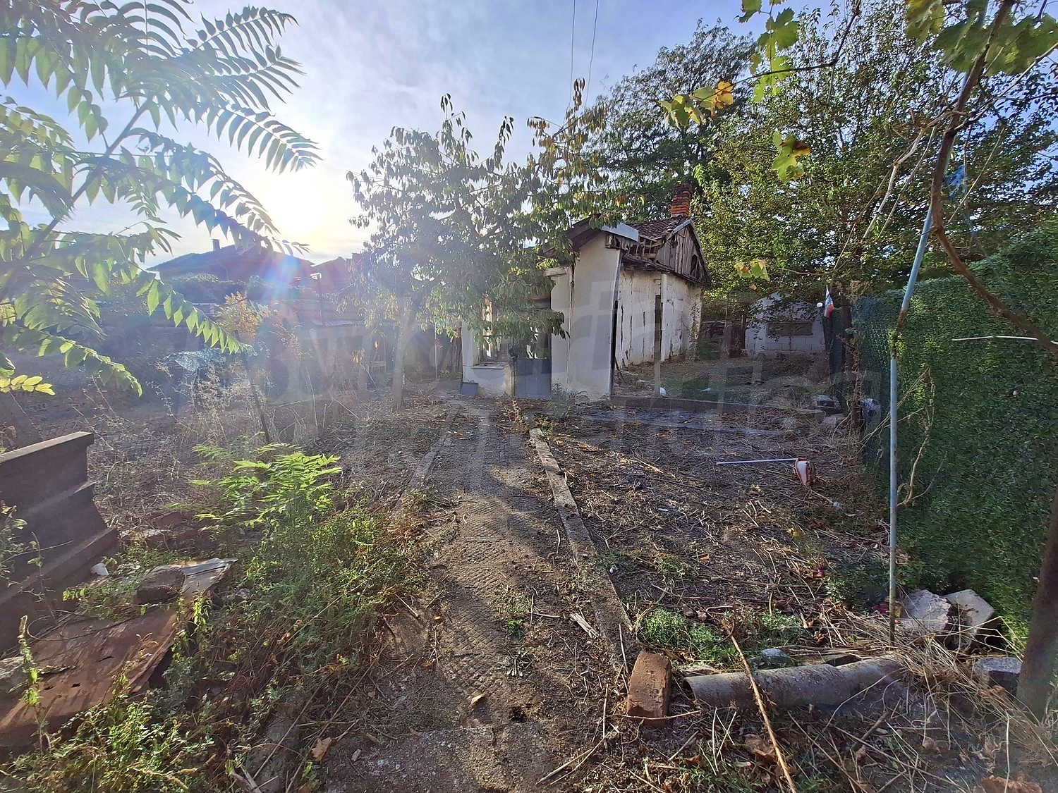 outside, garden